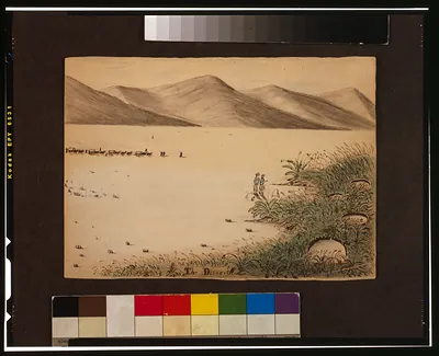The dessert [e.g. desert]