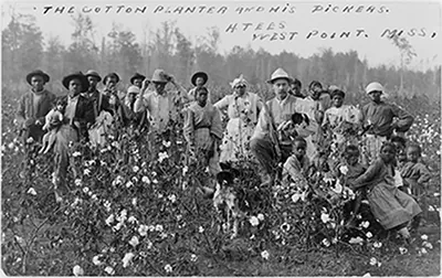 The cotton planter and his pickers