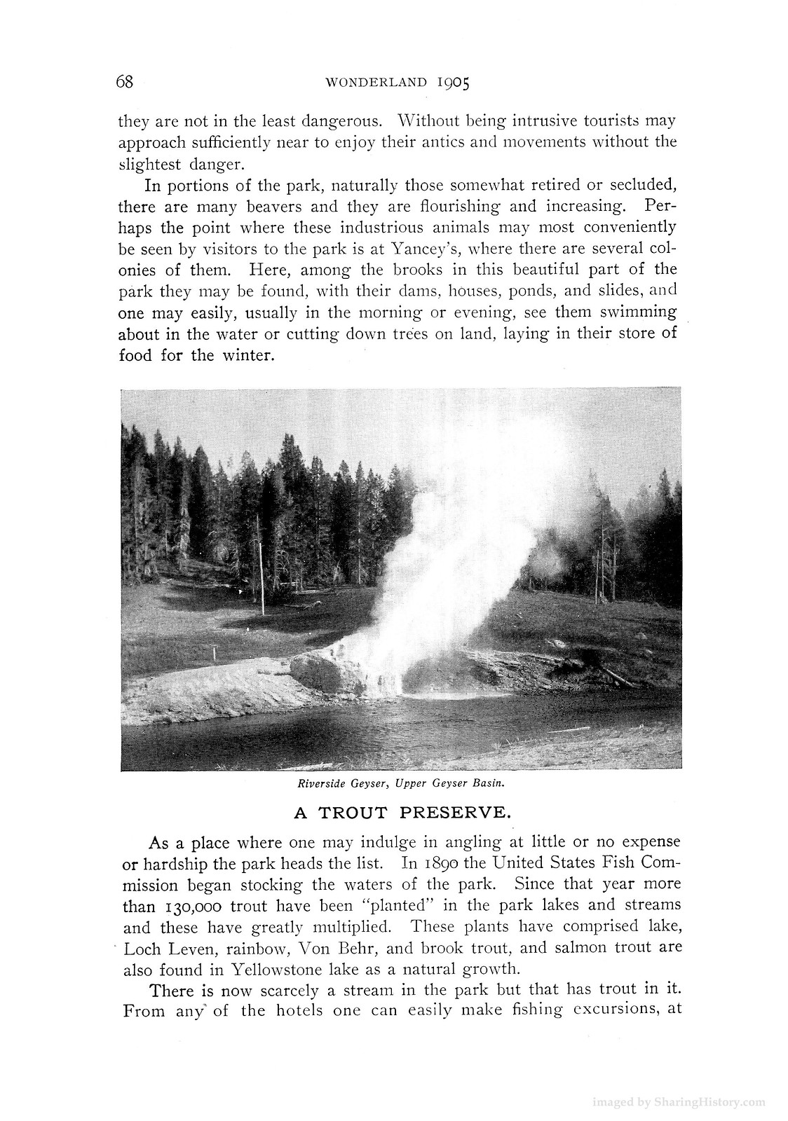 Wonderland 1905 page 68 with Riverside Geyser photograph — historic photograph