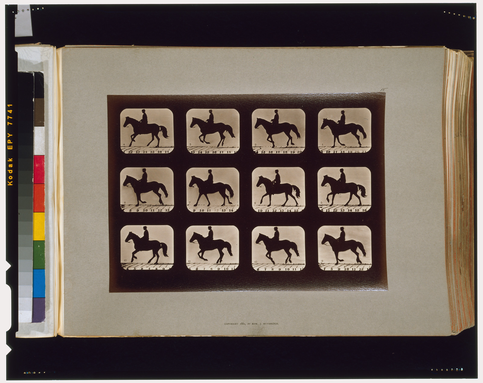 Horses. Cantering, [San Francisco] : Muybridge, c1881. — historic photograph