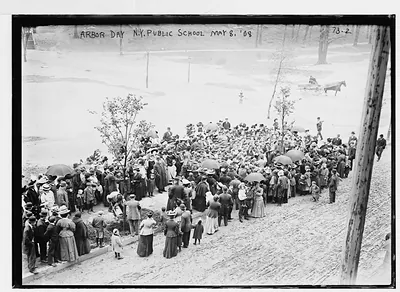 Planting of trees, Arbor Day, N.Y. Public Schools, New York