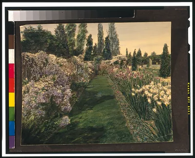 Garden path between flower borders and tall trees