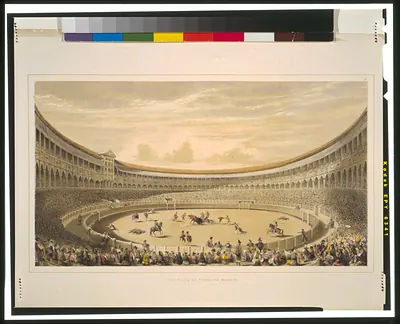 The plaza de toros of Madrid