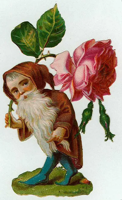 Victorian die-cut elf with white beard holding a pink rose