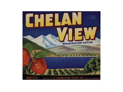 Chelan View Washington Apples fruit crate label