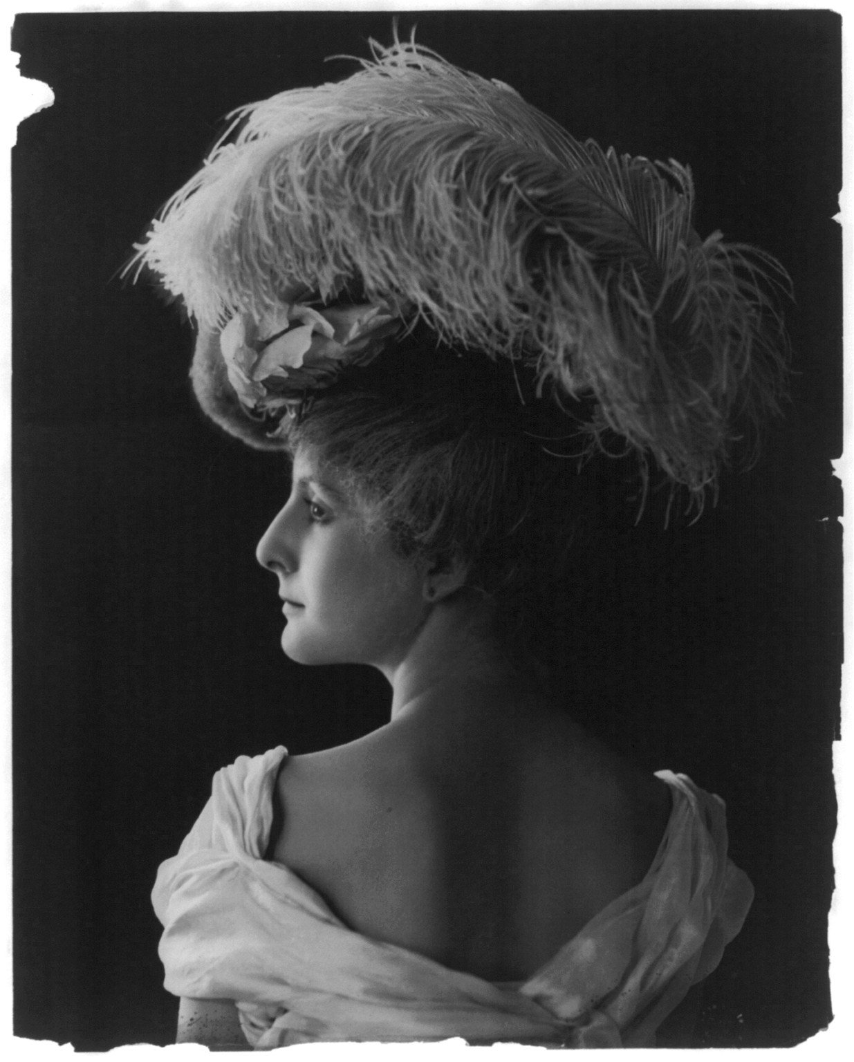 [Young woman modeling: back view, head and shoulders, wearing feathered hat], [no date recorded on caption card] — historic photograph