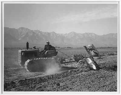 Crawler tractor pulling implement across field, mountains behind