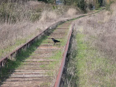 railroad tracks
