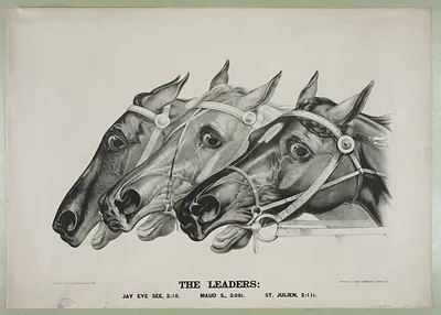 The Leaders: Jay Eye See, Maud S., St. Julien
