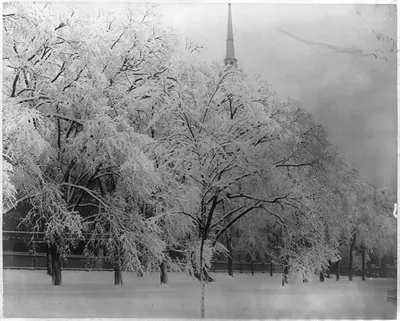 Snow Scene on Boston Common on the Morning of February 29, 1884: View No. 1""