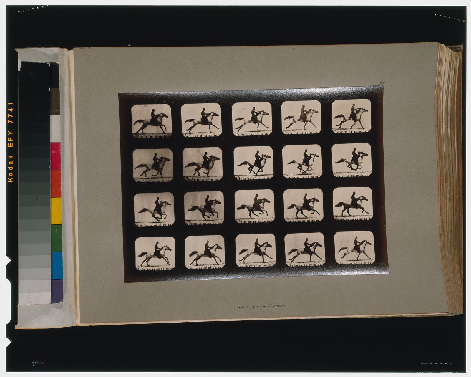 Horses. Running, [San Francisco] : Muybridge, c1881. — historic photograph