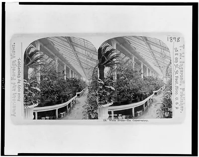 White House--The Conservatory