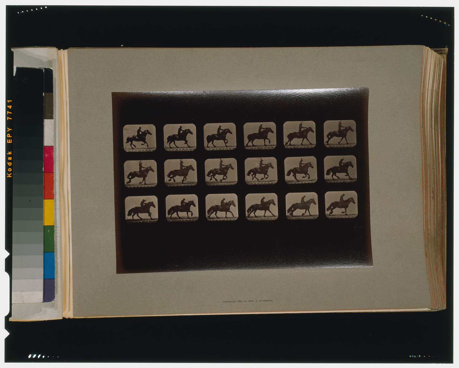 Horses. Running, [San Francisco] : Muybridge, c1881. — historic photograph