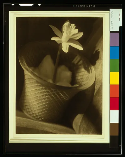 Design / Bernard S. Horne.