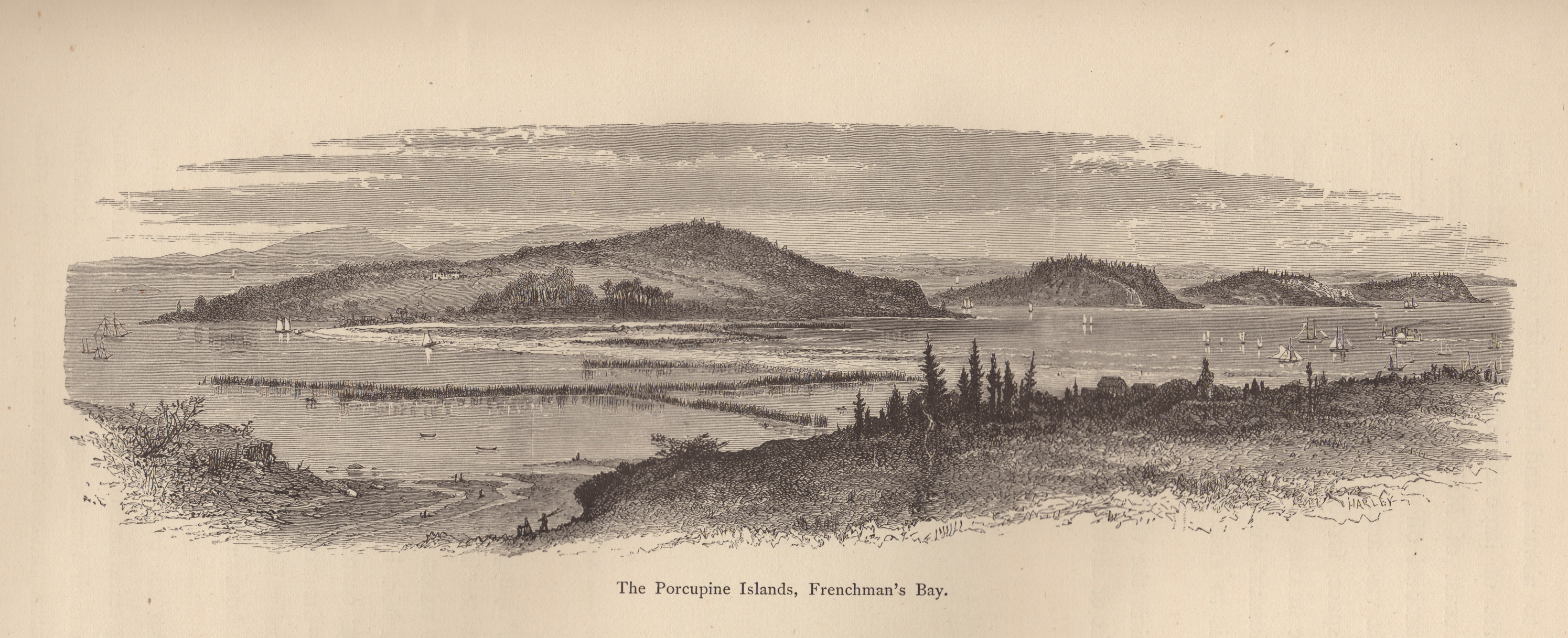 The Porcupine Islands, Frenchman's Bay — historic image