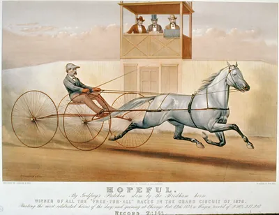 Hopeful: by Godfrey's Patchen, dam by the Bridham horse