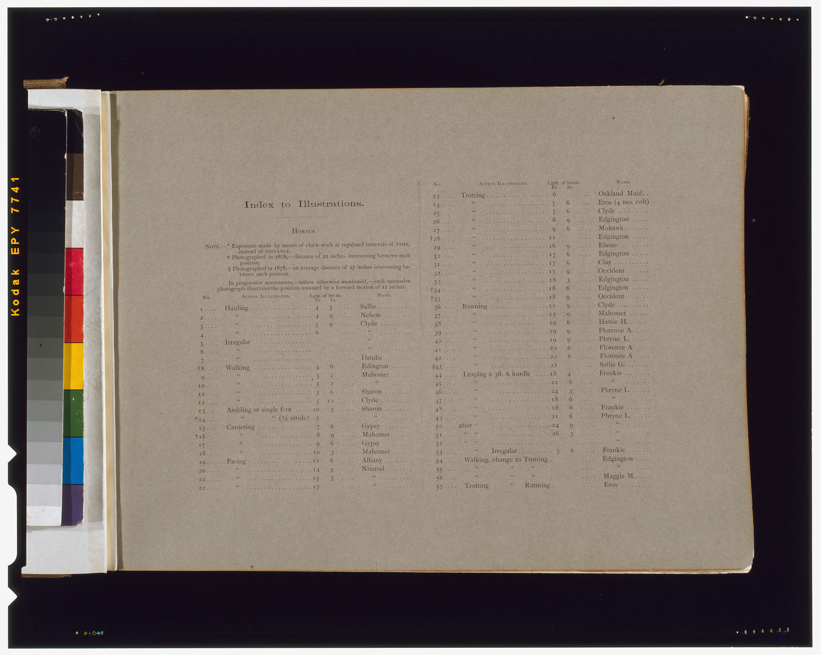[Page of text with Index of illustrations" from "The attitudes of animals in motion"]", [San Francisco] : Muybridge, c1881. — historic print