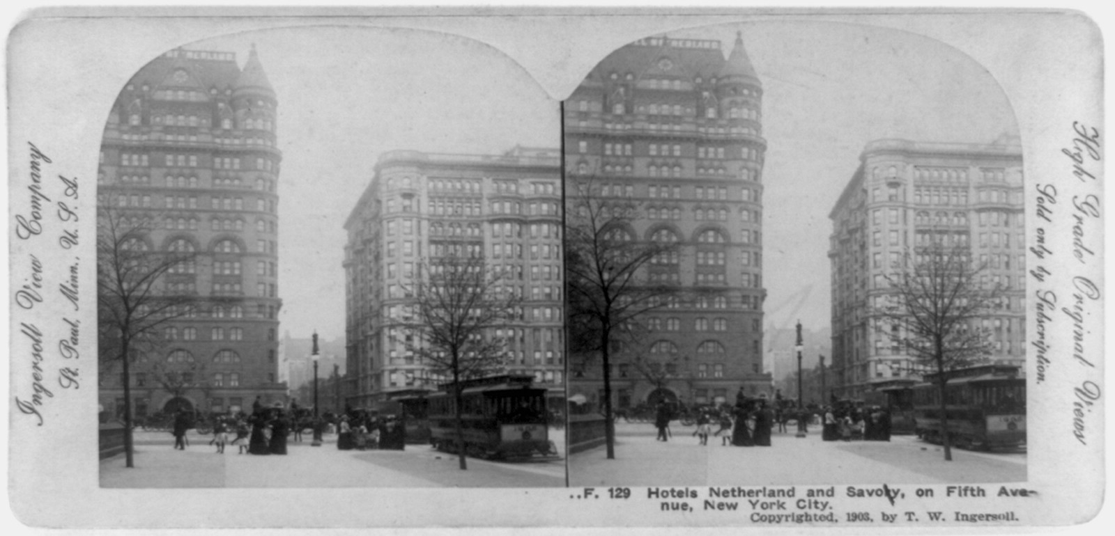 Hotels Netherland and Savoy on Fifth Avenue New York City, 1903 — historic image