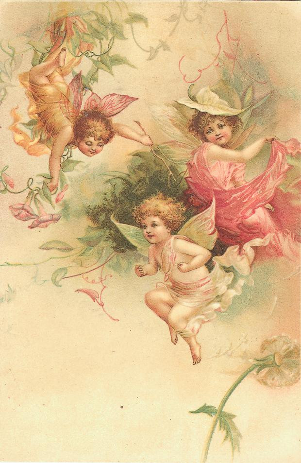 Three winged fairy children among flowers and vines — historic image