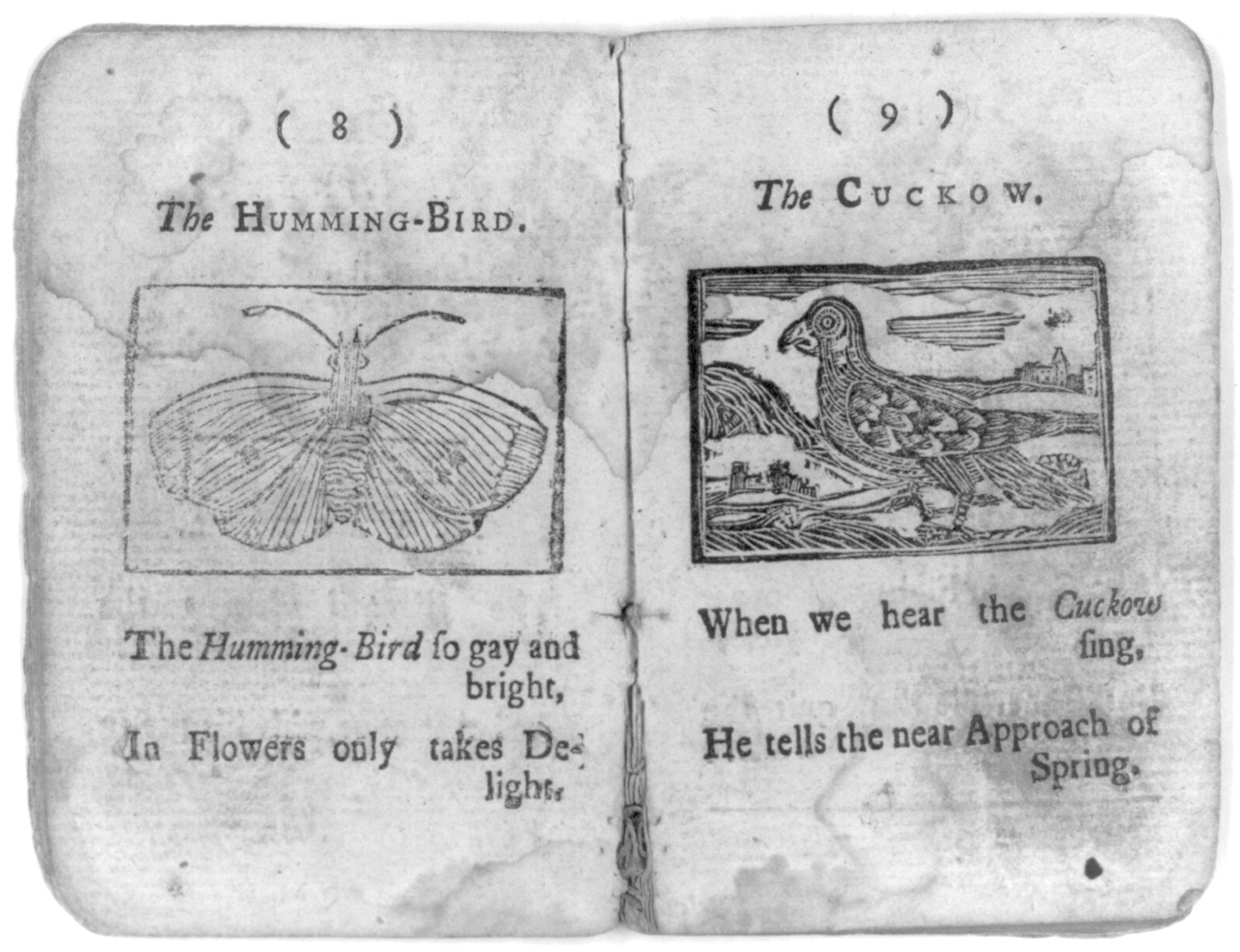 [Cock Robin's Death and Funeral (Boston, 1780): copy negatives of all ten pages: pp. 8 & 9] — historic photograph