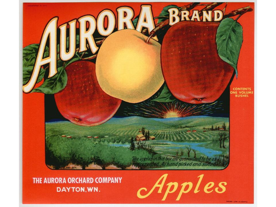 Aurora Brand Apples crate label, Aurora Orchard Company, Dayton WN — historic image