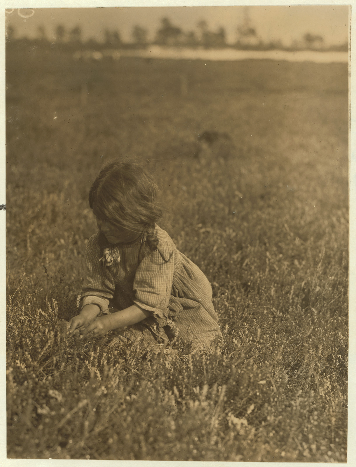 Victoria Talme. Whites Bog, Browns Mills, N.J. Location: Browns Mills, New Jersey., 1910 September — historic image