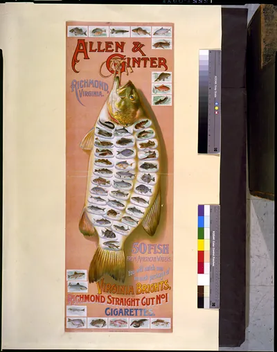 Allen & Ginter, Richmond, Virginia. 50 fish from American waters. You will catch one in each package of Virginia Bright, ... cigarettes / Lindner, Eddy & Clauss, lith., N.Y.