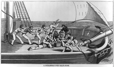 A scramble for salt-junk