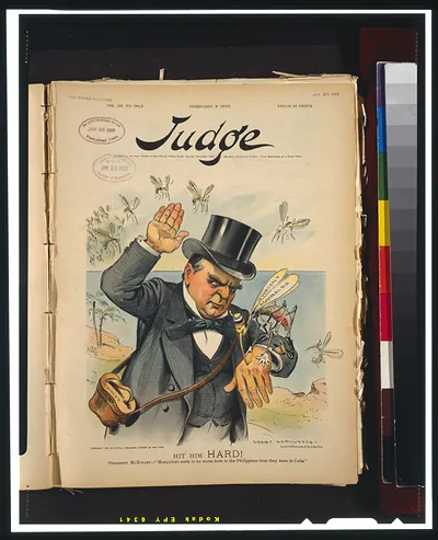 Hit him hard! President McKinley - Mosquitoes seem to be worse here in the Philippines than they were in Cuba" / Grant Hamilton."