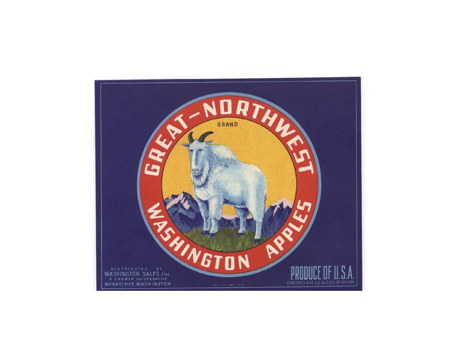 Great-Northwest Washington Apples crate label with mountain goat — historic image