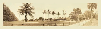 FL Royal Poinciana Palm Beach 1912 PHOTO