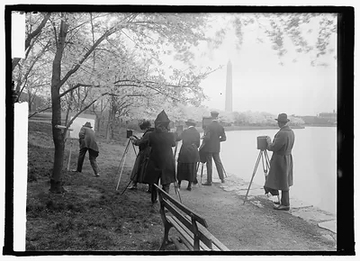 [Photographers shooting Cherry blossoms, Washington, D.C. 4/7/22]