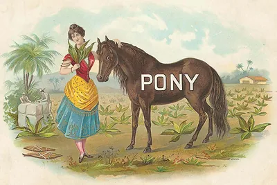 Pony cigar label: woman with horse among tobacco plants