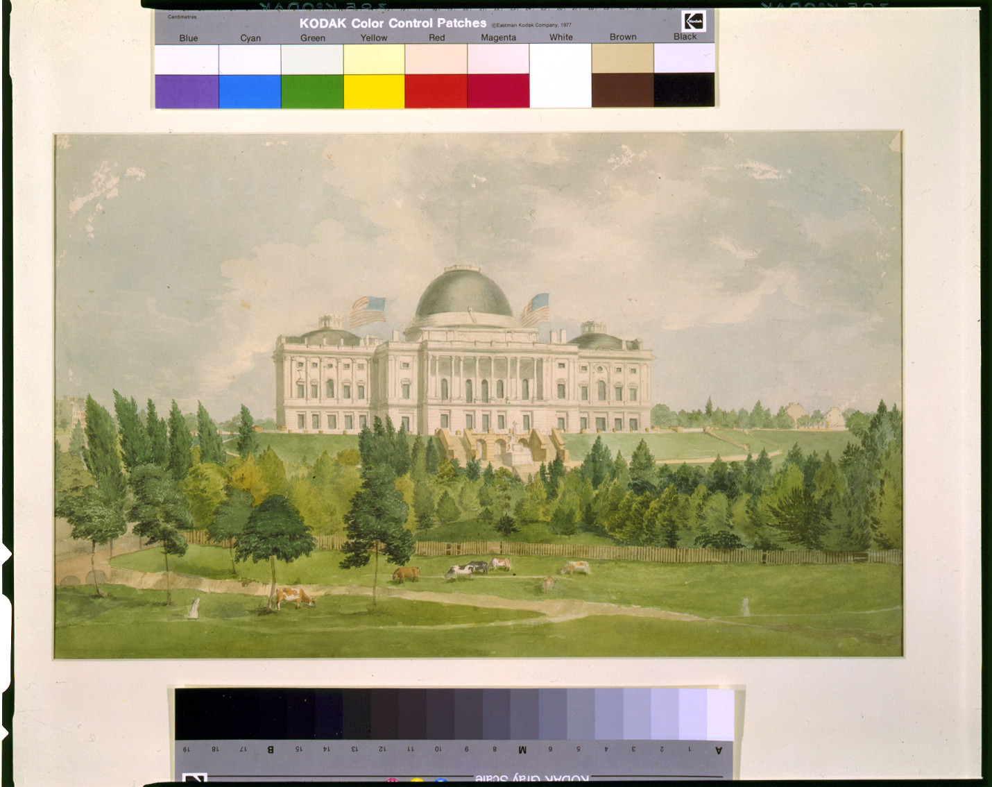 [West front of the United States Capitol with cows in the foreground], [ca. 1828] — historic drawing
