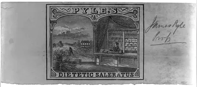 Pyle's dietetic saleratus