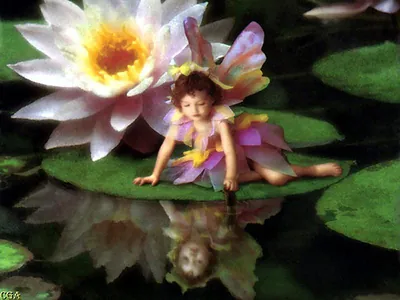 Fairy child resting on a water lily pad