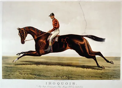 Iroquois: by imp. Leamington, dam Maggie B.B. by Australian