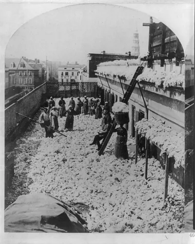 [African Americans working, Charleston, S.C.: Cotton warehouse, drying cotton]