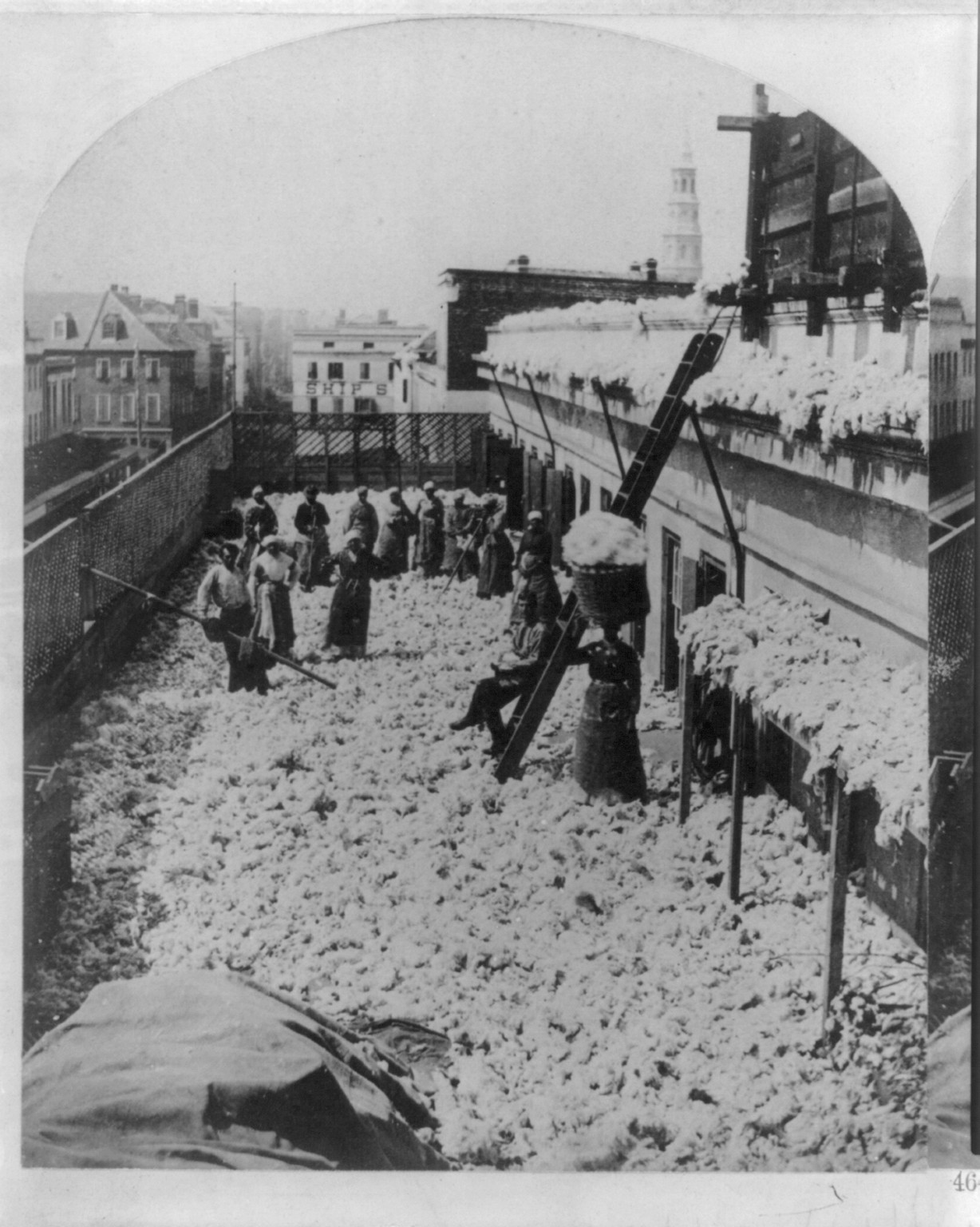 [African Americans working, Charleston, S.C.: Cotton warehouse, drying cotton], c1879. — historic photograph