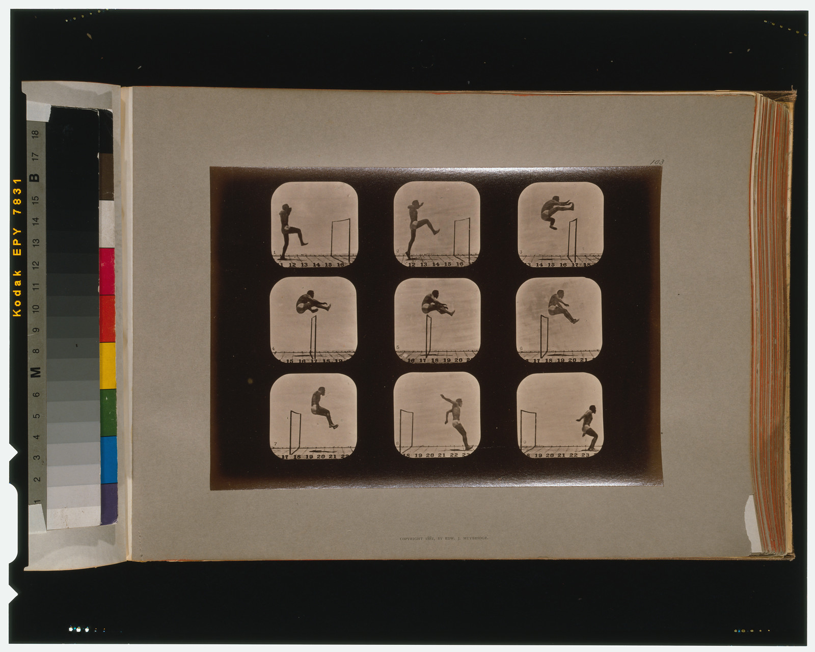 Athletes. Walking high leap, [San Francisco] : Muybridge, c1881. — historic photograph