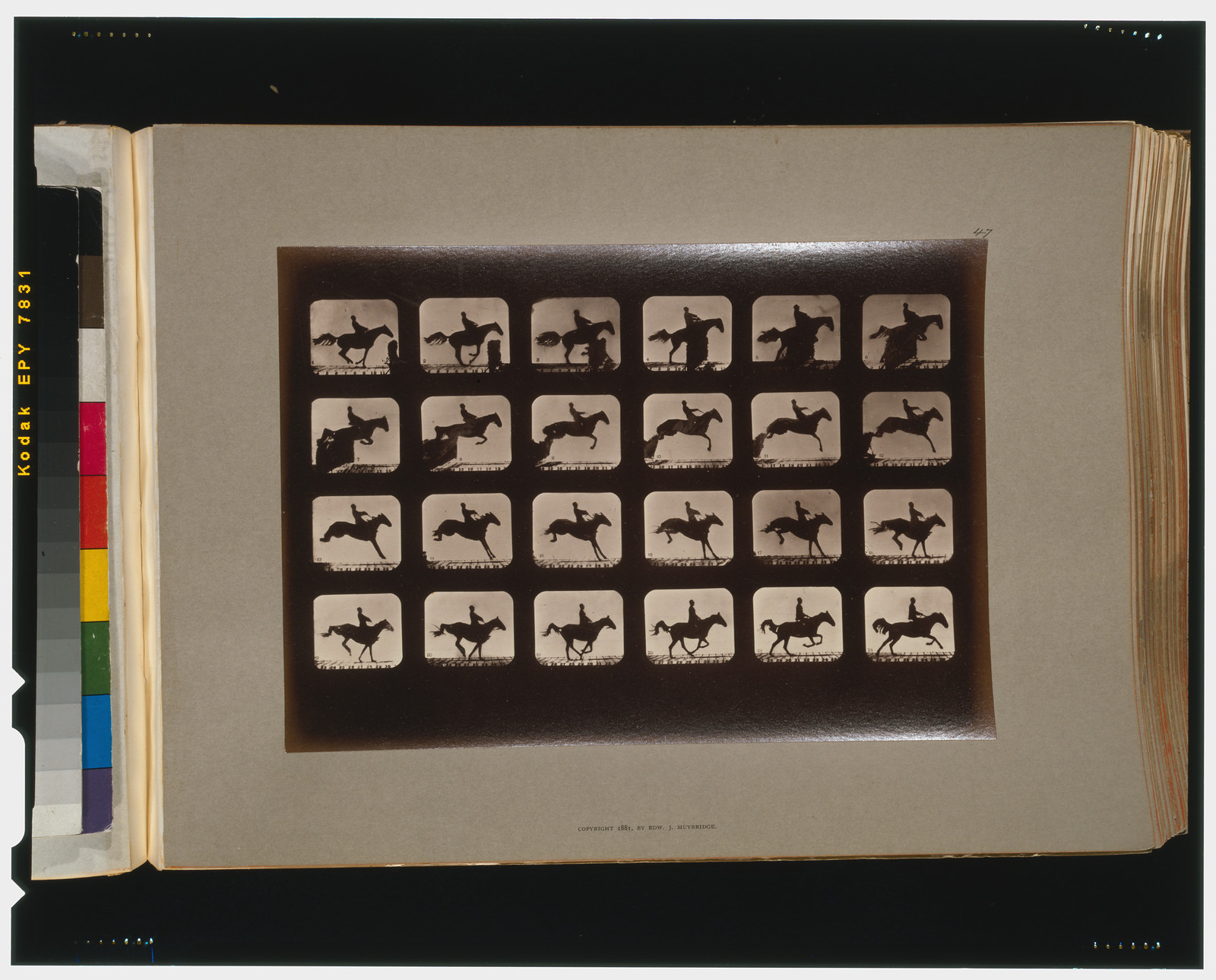 Horses. Leaping a 3 ft. 6 hurdle, [San Francisco] : Muybridge, c1881. — historic photograph