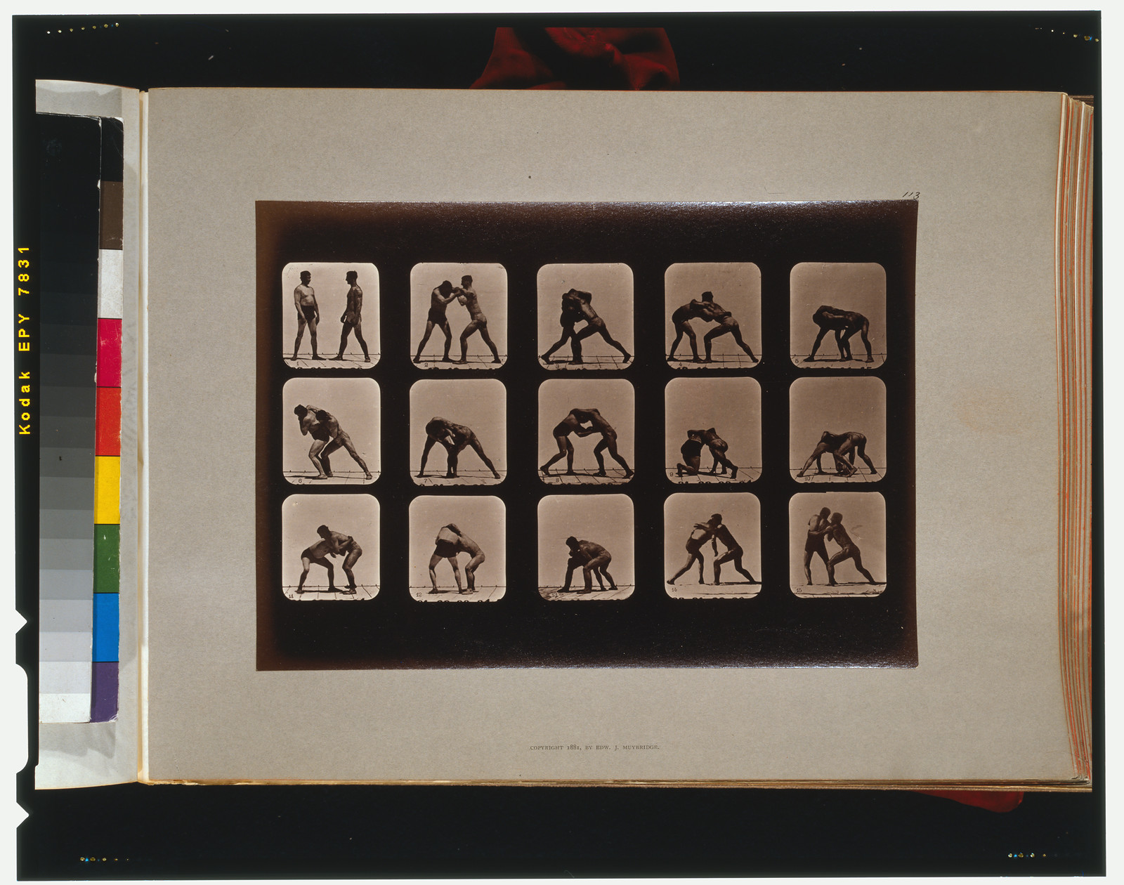 Athletes. Wrestling, [San Francisco] : Muybridge, c1881. — historic photograph