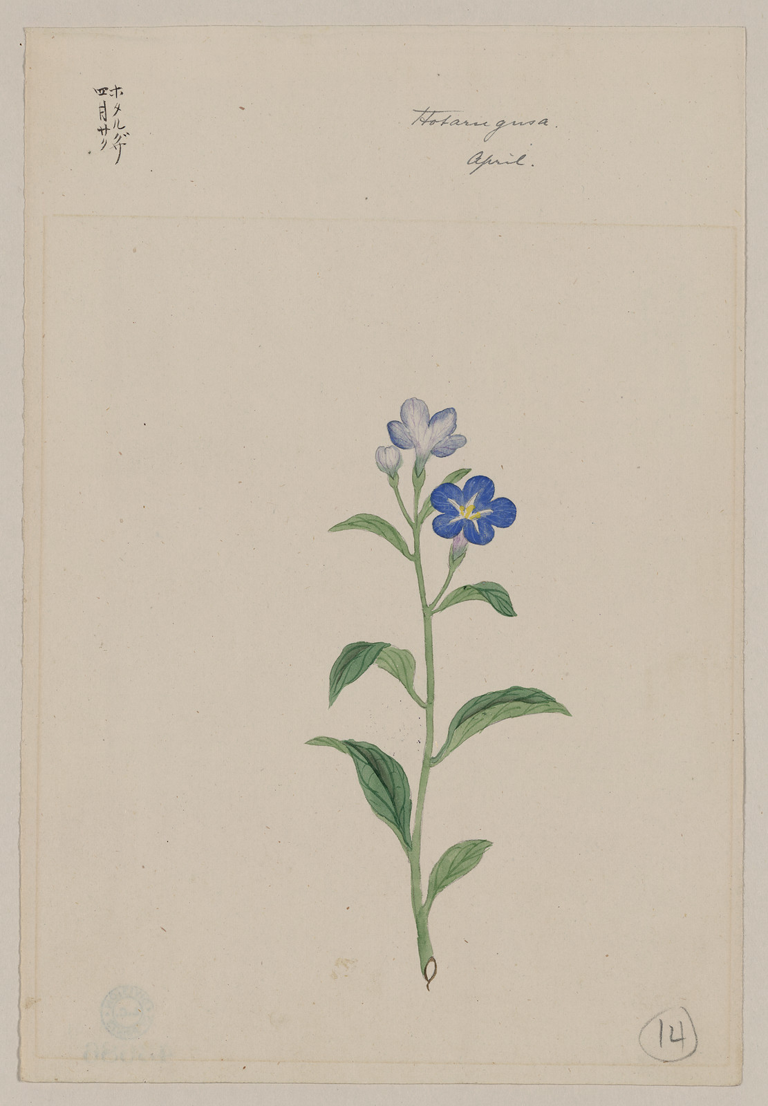 [Japanese drawing], 1750 — historic drawing