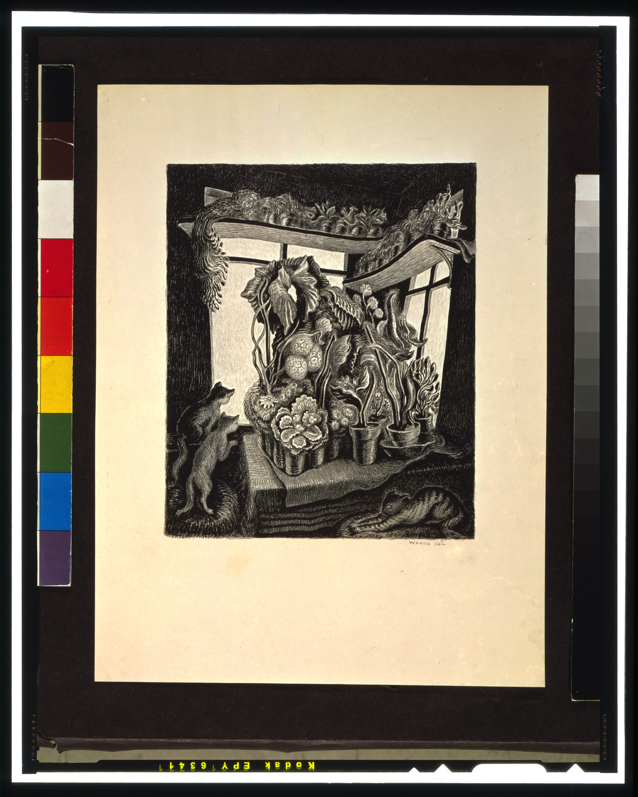 [Winter garden] / Wanda Gág., [1935] — antique lithograph