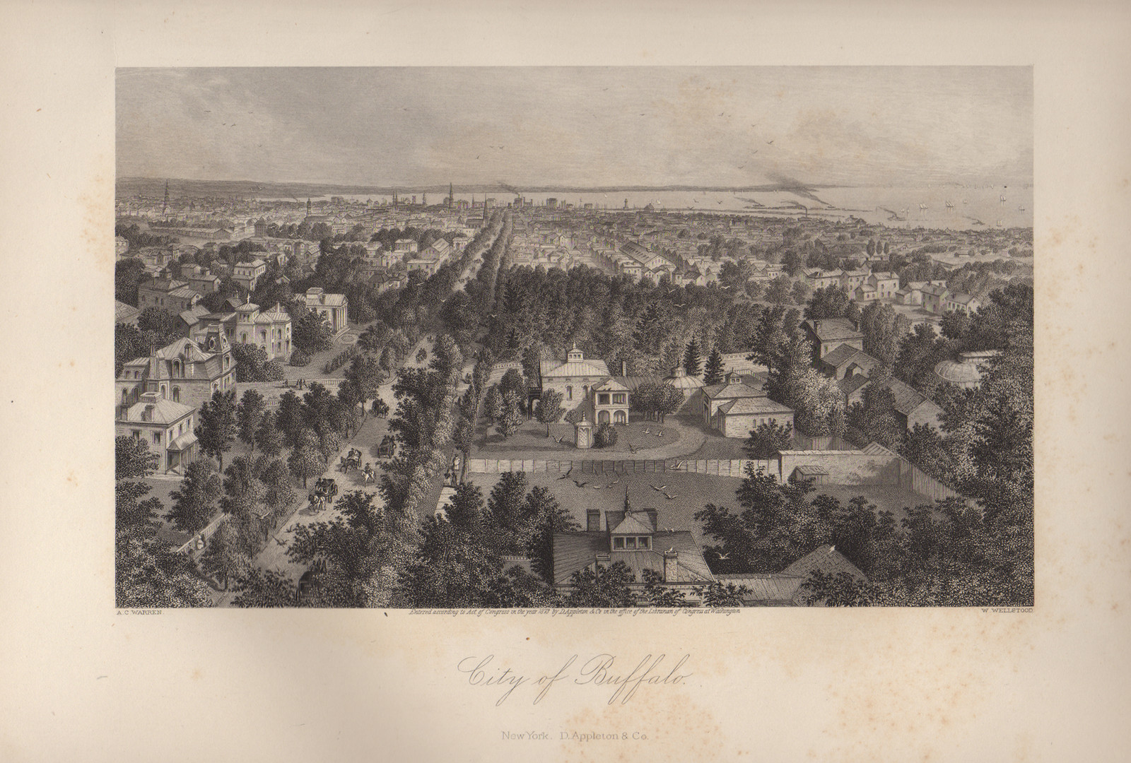 NY City of Buffalo — historic image