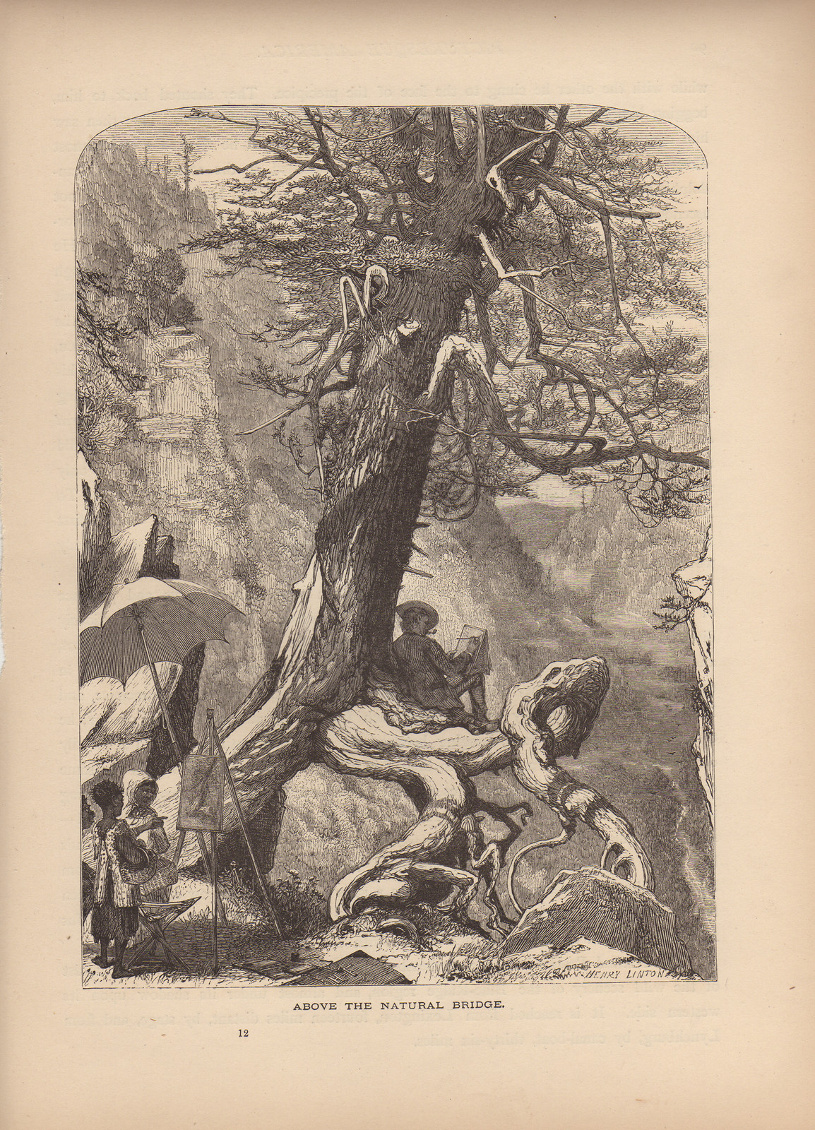 Above the Natural Bridge — historic image