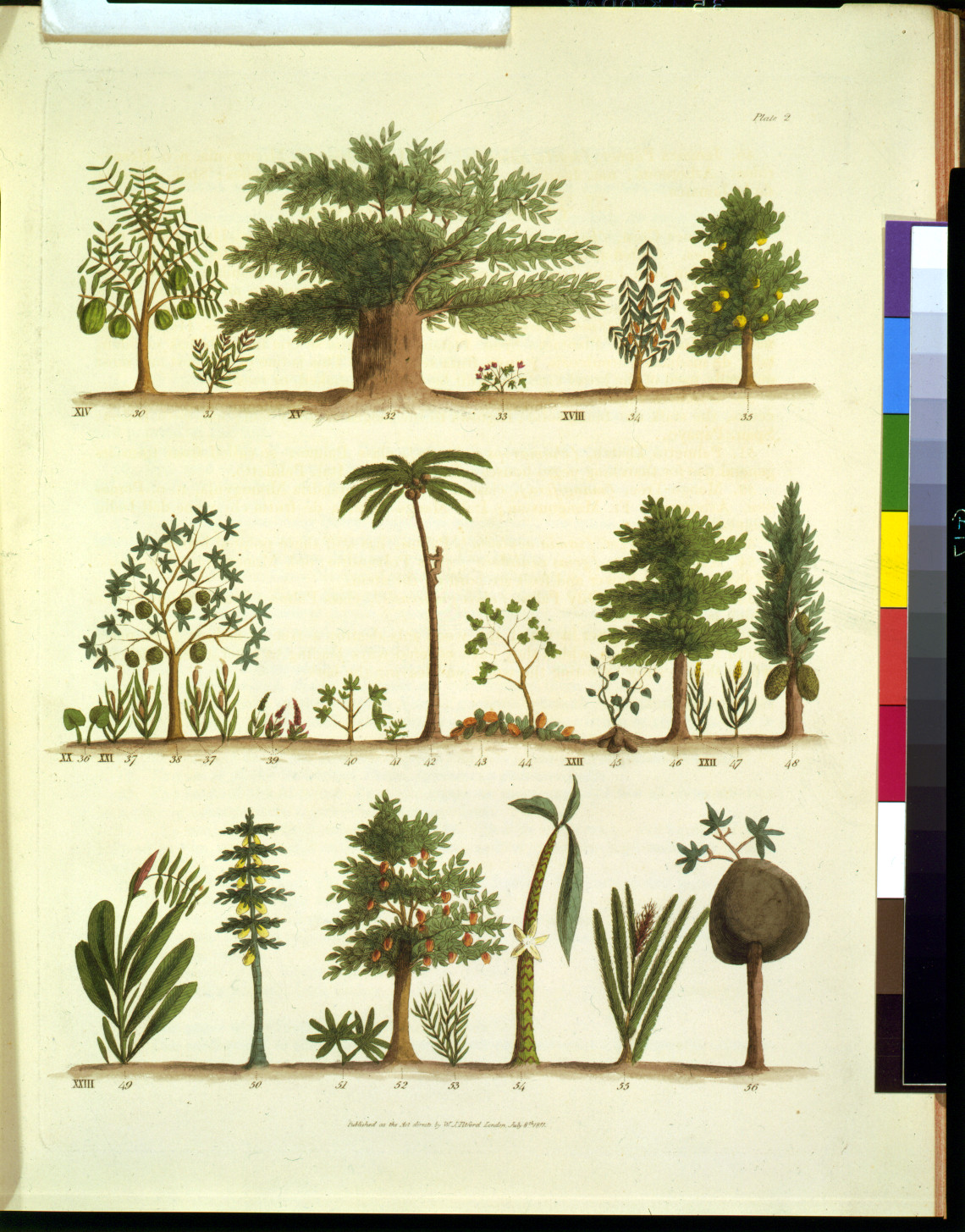 Engraved botanical plate of numbered trees and plants, Plate 2 — historic image