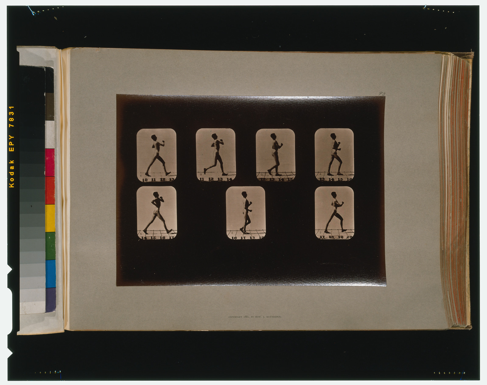 Athletes. Walking, [San Francisco] : Muybridge, c1881. — historic photograph