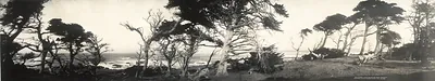 Cypress Point Monterey, California, 1907