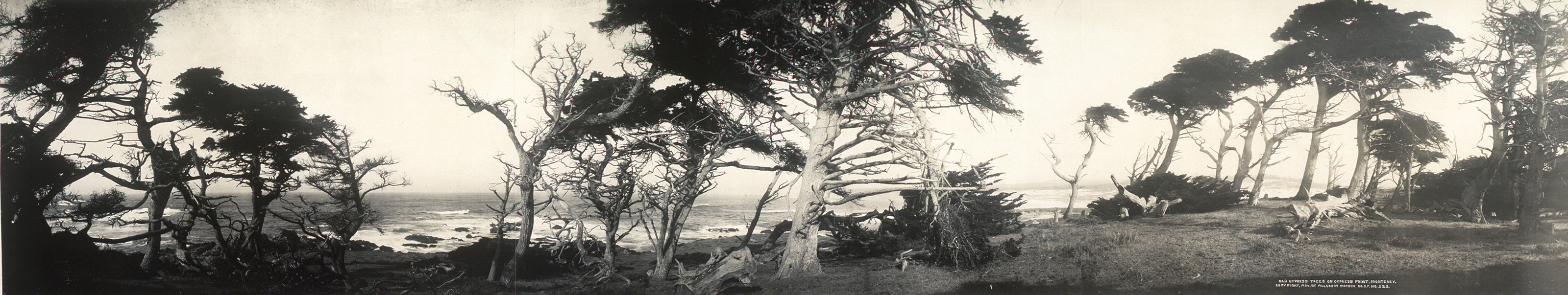 Cypress Point Monterey, California, 1907, 1907 — historic image